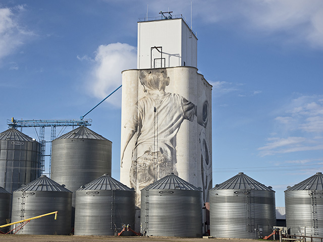 A 110-foot grain elevator at Faulkton, South Dakota, provides a canvas where artist Guido Van Helten paints details like a wrinkle in jeans and even highlights in strands of hair. (Progressive Farmer photo by Greg Lamp)